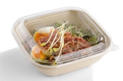 Bol cuadrada 750ml BIO 17x17x5cm - caja 300 unidades