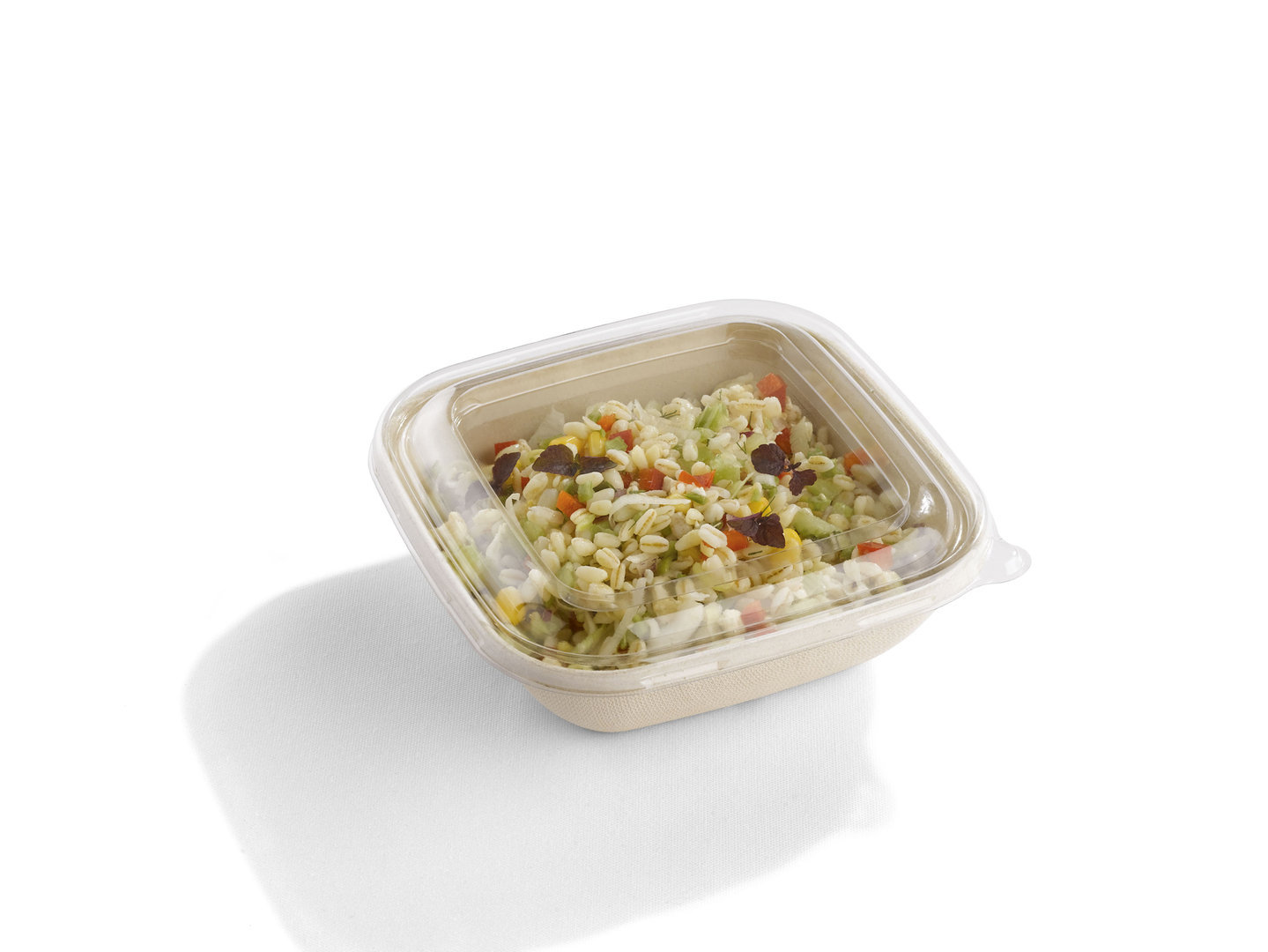 Bol cuadrada 750ml BIO 17x17x5cm - caja 300 unidades