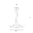 Vaso de Champanhe PS 205 ml