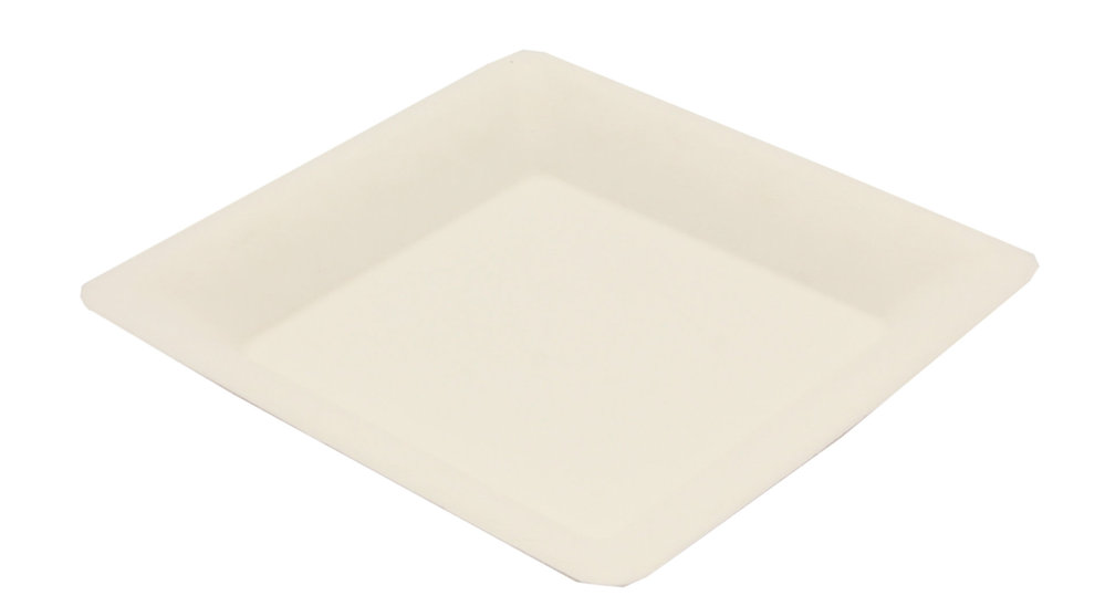 Plato cuadrado BIO 20x20cm